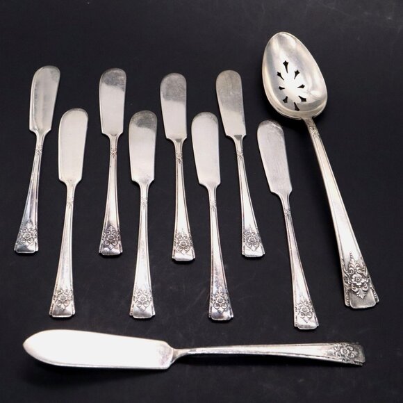 WM Rogers Mountain Rose Silverplate Flatware 8 Butter 1 Master 1 Slotted Spoon - Picture 1 of 8